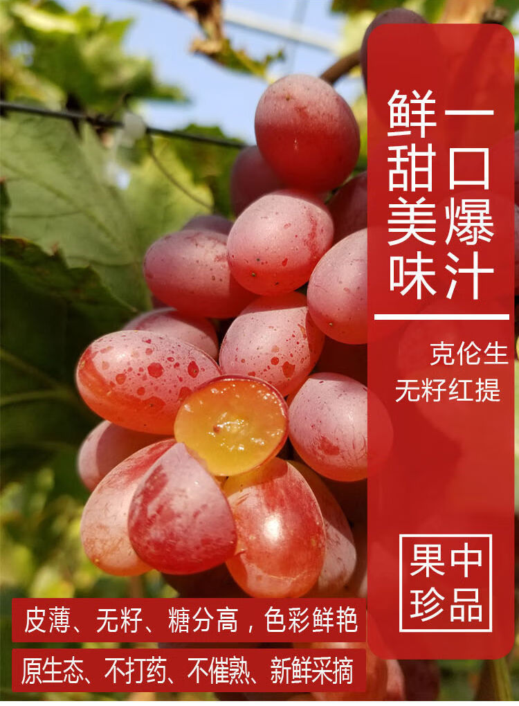 新疆马奶红提无籽葡萄爆甜克伦生葡萄新鲜水果提子6斤
