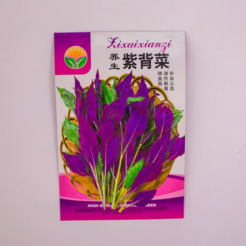 网红特色菜十香菜种籽石香菜薄荷食用鱼香草四季盆栽蔬菜莱孑 十香菜