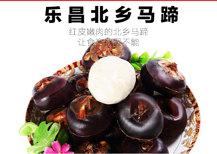 正宗乐昌北乡大号马蹄荸荠地栗乌芋新鲜水果韶关特产8斤