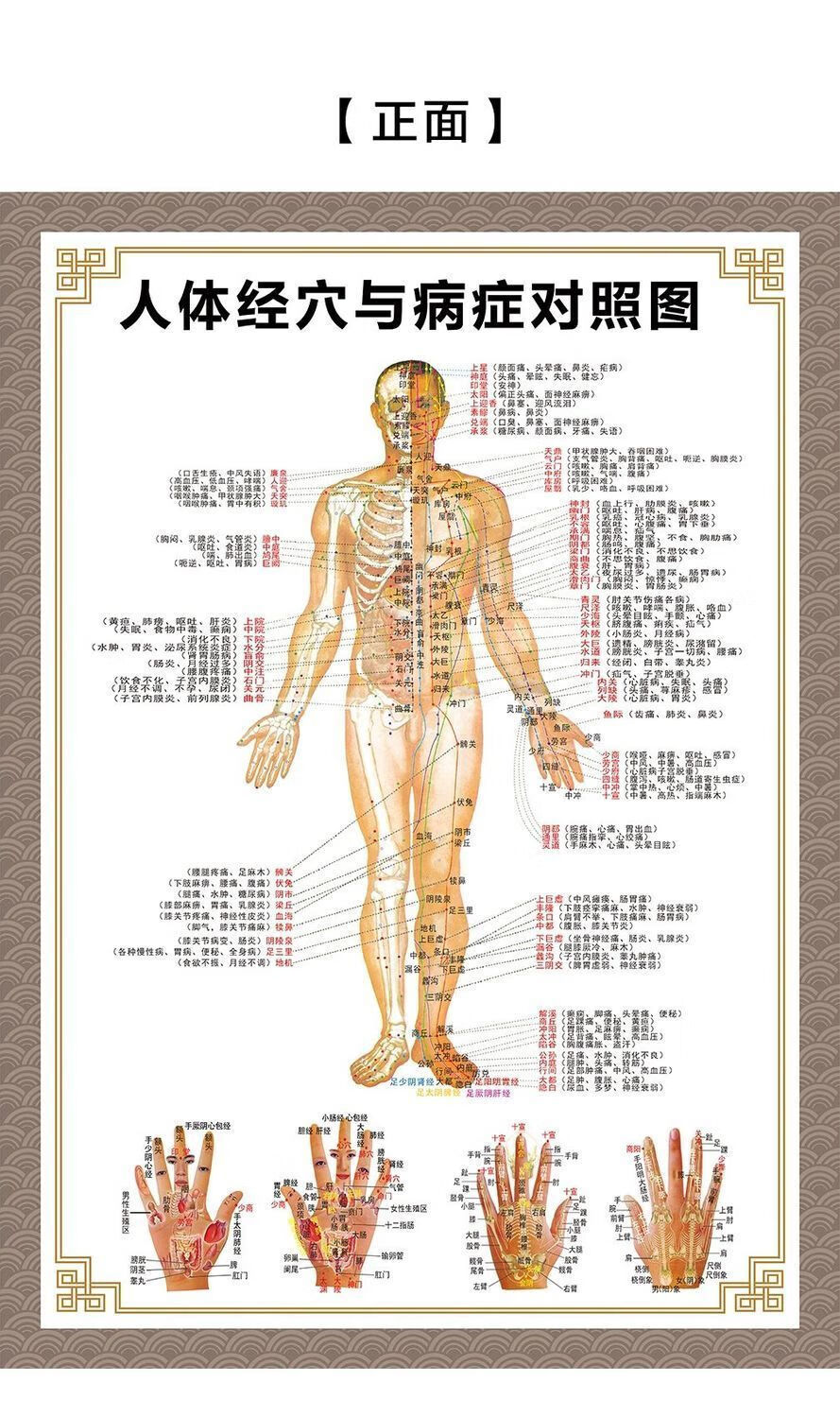 穴位图大挂图全身图中医针灸艾灸拔罐养生十二经络穴位海报大挂图
