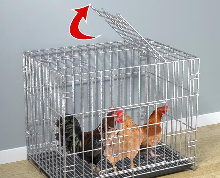 捕鸡自动网鸡笼子家用养鸡笼大号特大号自动清粪折叠养殖笼鸡舍铁丝网