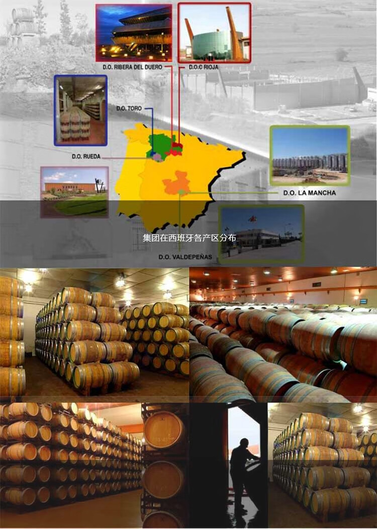 小天鹅干红葡萄酒750ml 聚会商务宴请佐餐酒vdm红酒 小天鹅干红750ml*