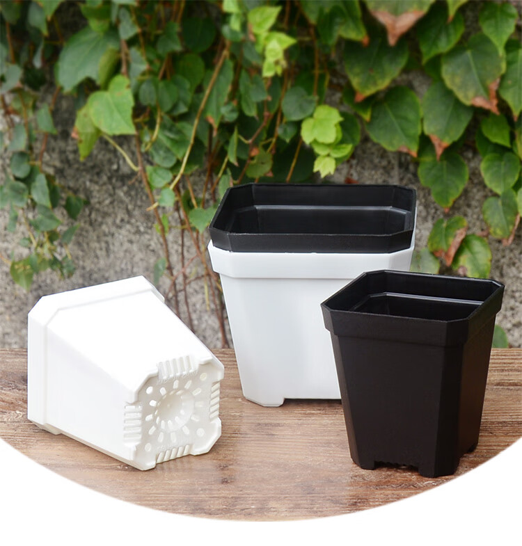 可狄kedi加仑盆加厚款多肉花卉塑料盆大小黑白方盆710cm正方形阳台