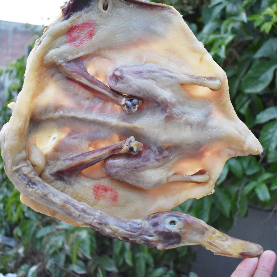 江西特产瘦肉型红毛鸭麻鸭板鸭农家日晒风味腊鸭风干遂川板鸭 晒干后