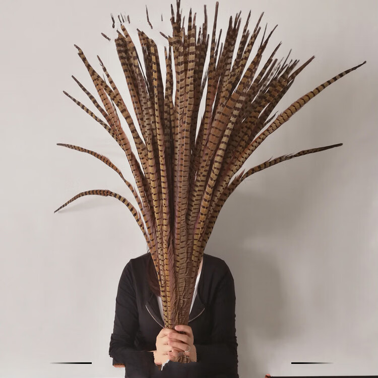 草庄 野鸡毛 野鸡毛地鸡毛逗猫羽毛棒山鸡羽毛京戏翎子山鸡尾25-110