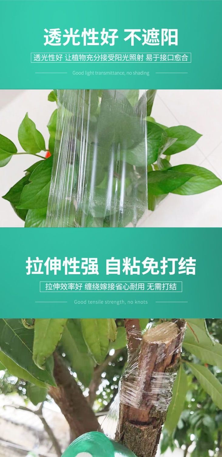 嫁接膜接树果树缠绕膜嫁接专用塑料薄膜自粘环保透明拉伸膜保温膜j