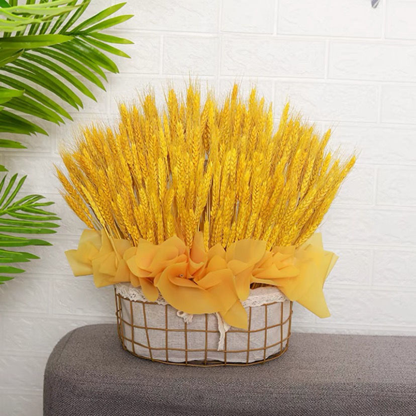 金色麦穗400支 蕾丝花篮【图片 价格 品牌 报价】-京东