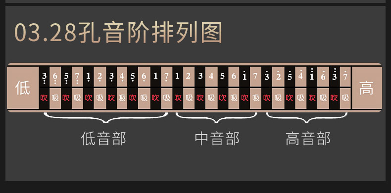 德国进口音簧28孔重音口琴演奏级复音24初学者入门定制款 全音符标记