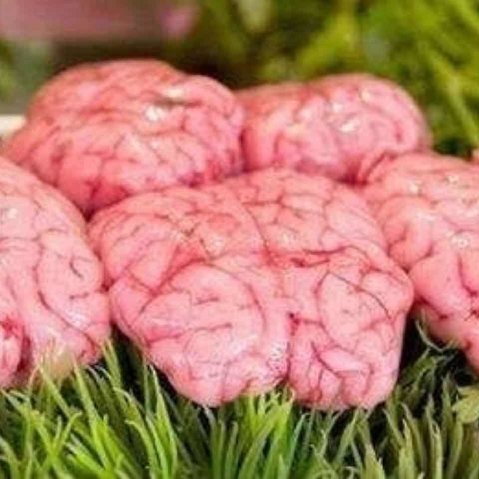 牛脑子 新鲜黄牛脑子 牛脑花 新鲜脑花 一斤.