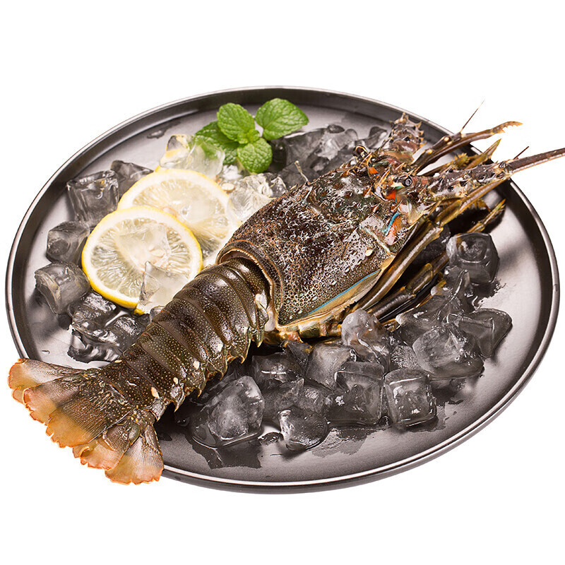 东山岛龙虾海鲜冷冻龙虾龙虾青龙虾小青龙虾大龙虾1斤