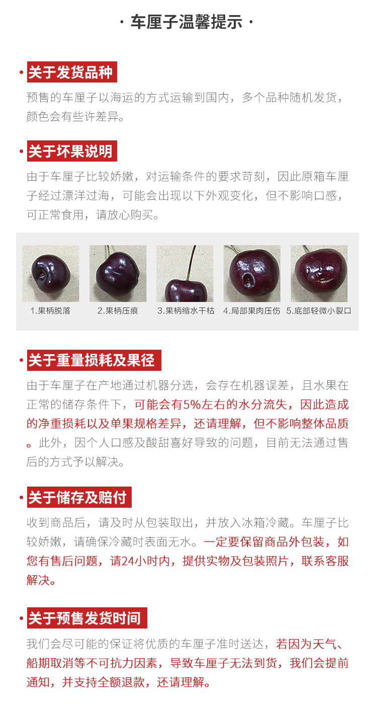 京觅 车厘子 J级 果径约26-28mm 约5kg 图12