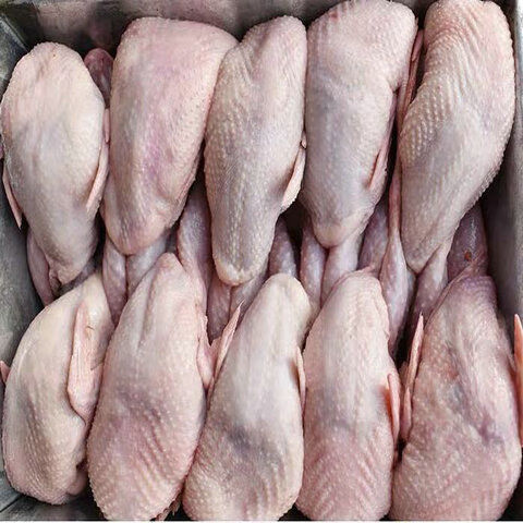 新鲜鹌鹑肉现杀母鹌鹑速冻白条烧烤油炸生鲜华奥薇斯精选大号母鹌鹑3