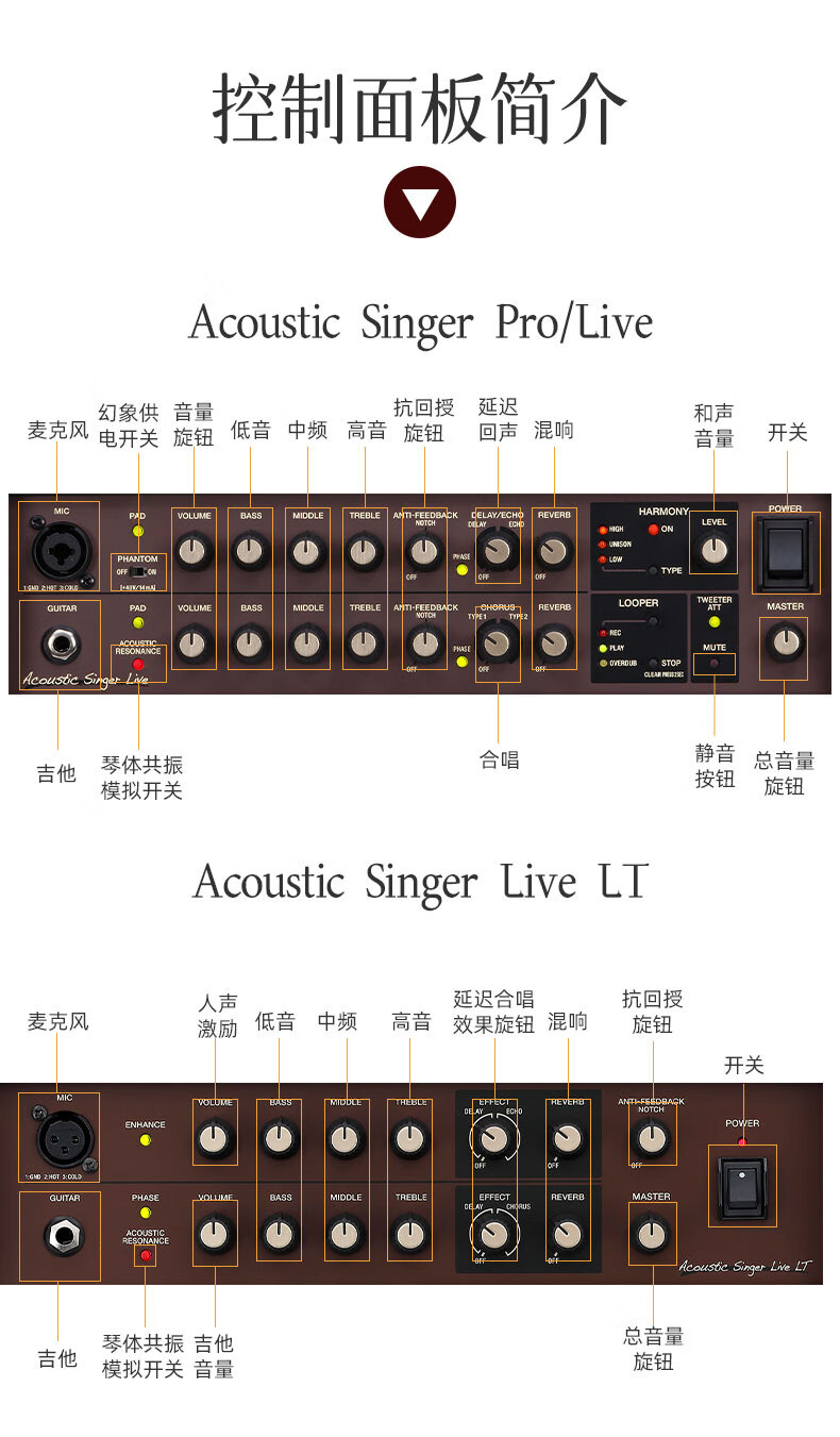 琦莎罗兰吉他音箱弹唱电吉他木吉他音响家庭bossacsliveac334060pro