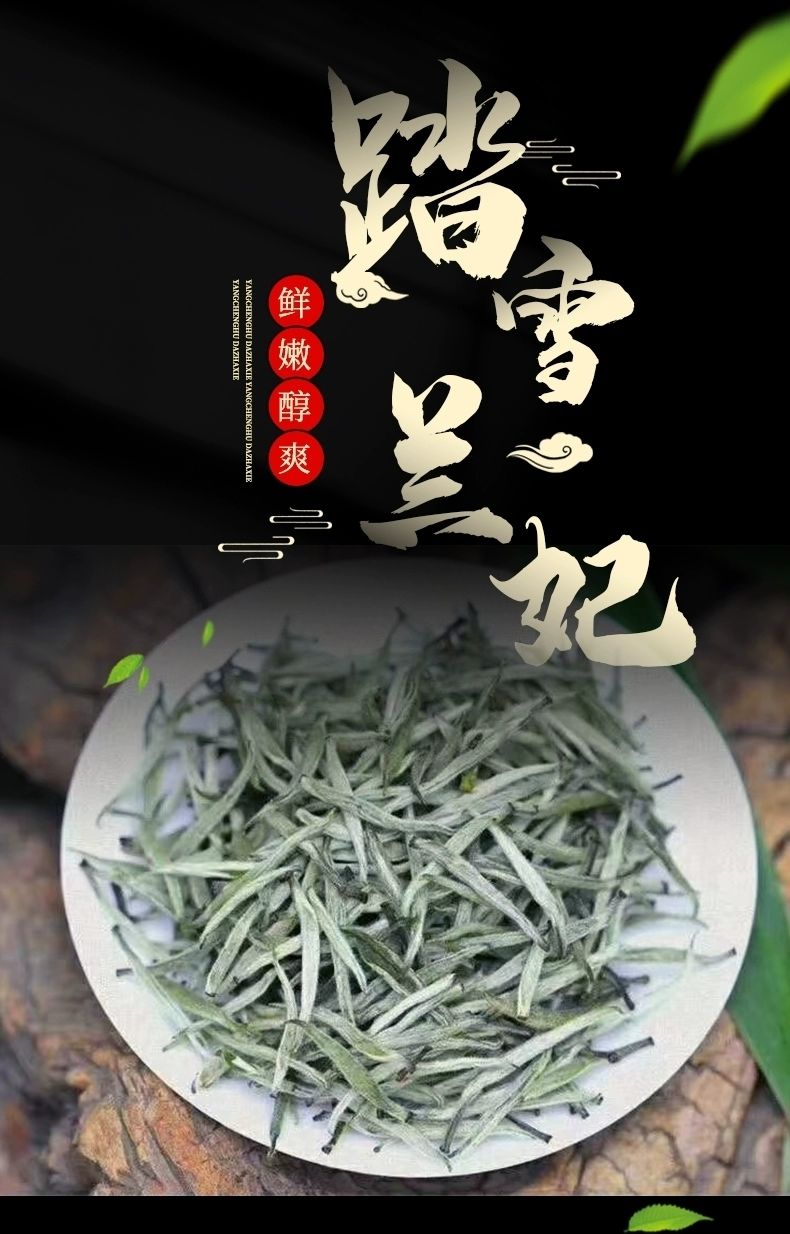 踏雪级兰妃茶2022新茶兰花茶明前单芽嫩芽绿茶踏雪 兰妃特级茶叶 兰妃