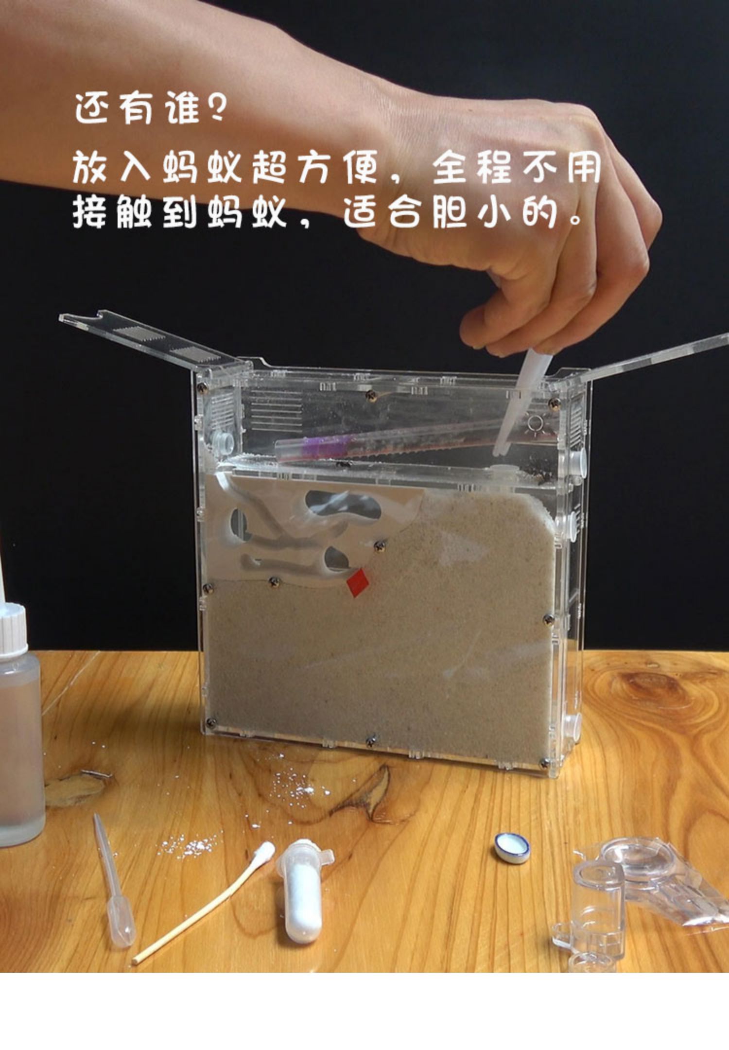 升级蚂蚁工坊 蚂蚁庄园蚁后 蚂蚁城堡沙巢沙堡 养蚂蚁宠物蚁巢蚂蚁窝