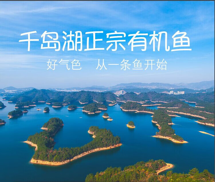 lism15斤正宗千岛湖鱼头活鱼胖头鱼大头鱼鲜活体包头鲢鱼鳙鱼