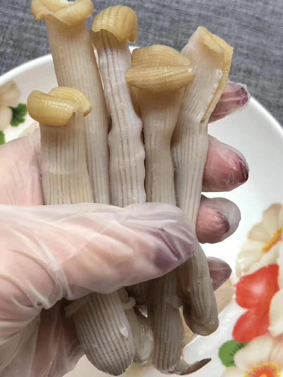 北京同仁堂原料野生中沙虫干海肠沙肠子海人参海虫干货海鲜海产广东