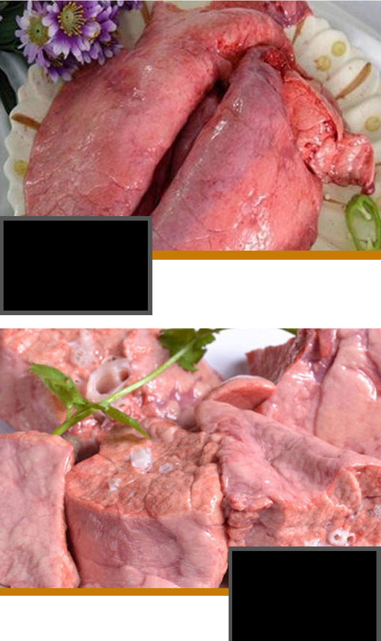 农家新鲜土猪猪肺猪肺新鲜猪肺2斤猪肺肉质鲜嫩可煲汤烧炒煮爆炒猪肺2