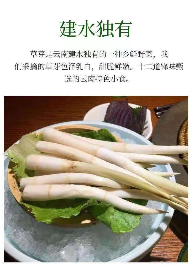 芬岚 云南特产建水草芽3斤新鲜象牙菜农家自种蔬菜现采现发 1500g