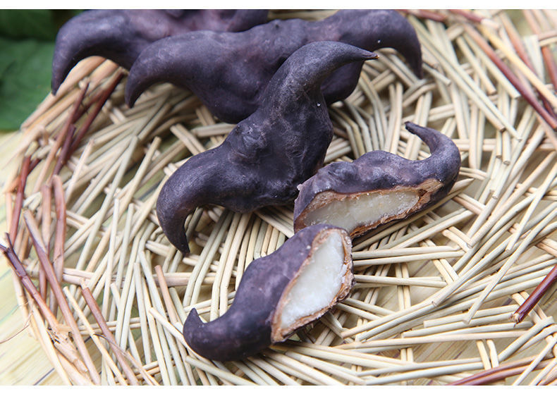 精选直发粉糯老菱角现摘菱角新鲜特大黑棱角凌角莲角水果蔬菜即食精选