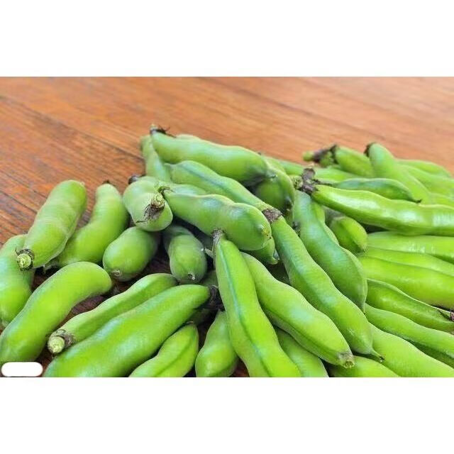 现摘四川嫩蚕豆新鲜胡豆新鲜蚕豆豆嫩带壳10斤蔬菜农家自种新鲜嫩蚕豆