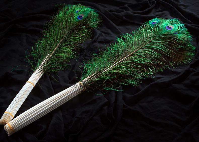 孔雀尾羽 真孔雀翎天然孔雀羽毛翎尾大眼睛花瓶摆件d