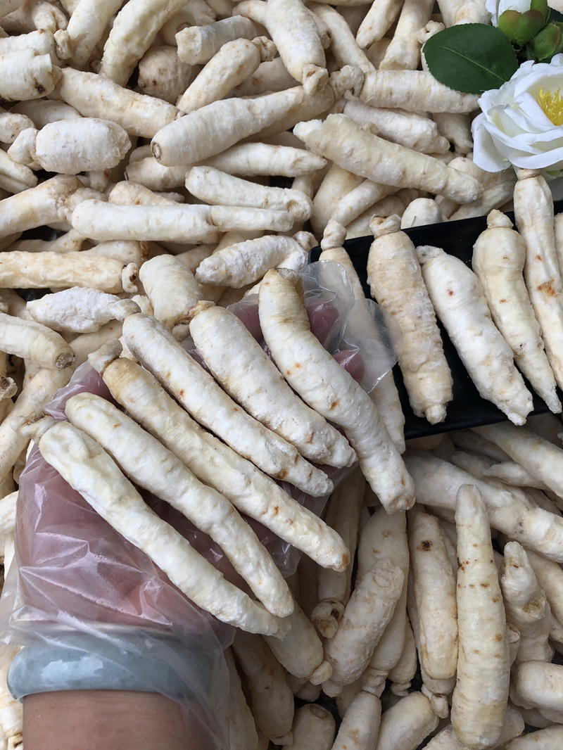 白糖参 长白山糖泡参移山糖小孩不爱吃饭煲太子参白糖参汤500克 白糖