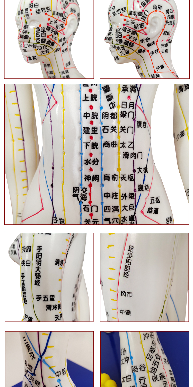 丰帆中医经络图针灸人体穴位模型全身男女小人铜人纯铜超清晰刻字硬
