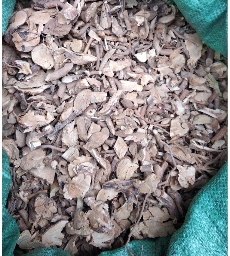 【官方旗舰】【官方旗舰】材粗叶悬钩子根 八月泡根 发货为根部切好的