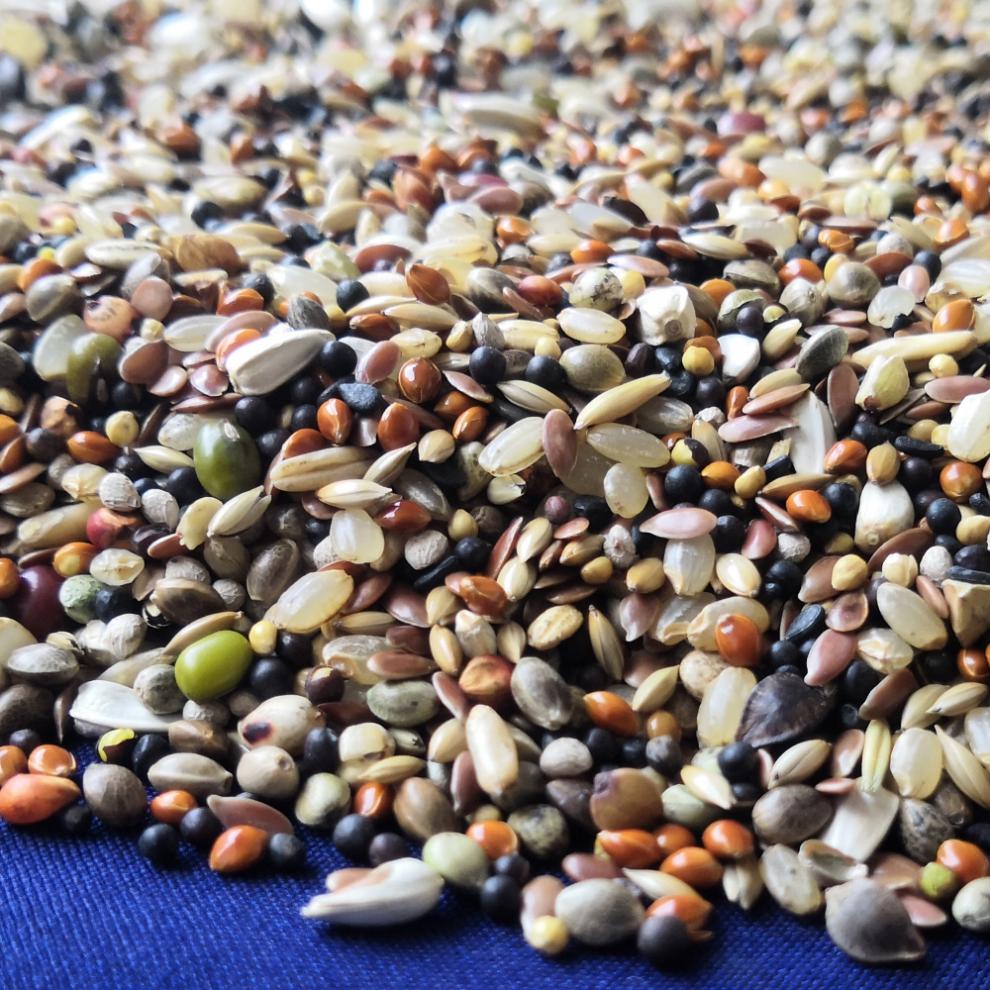 魔鬼饲料鸽粮鸽子饲料鸽子食物饲料营养斑鸠幼鸽信鸽赛鸽鸽粮