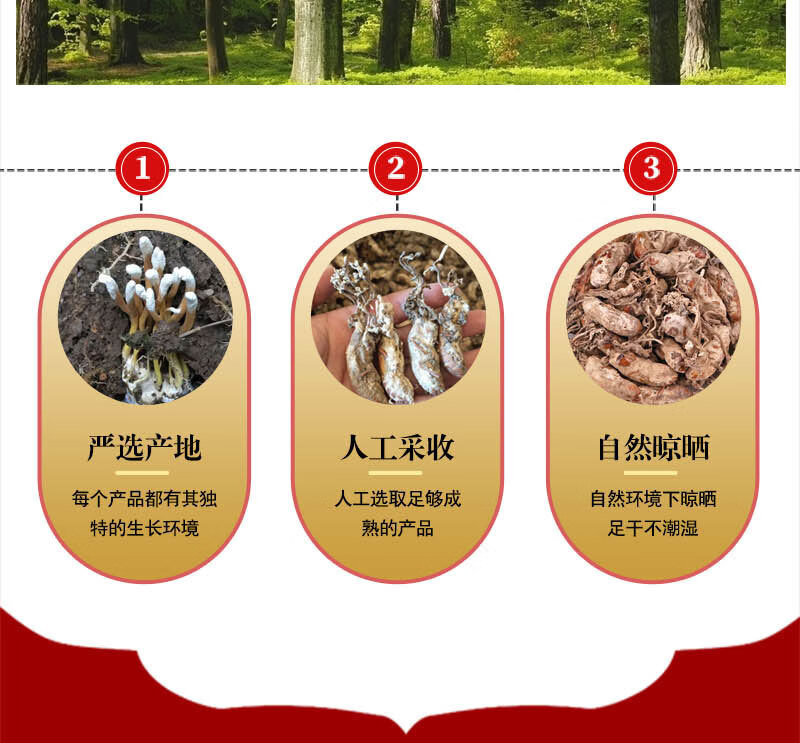 天然2020新货500g婵花蝉花虫草孢子粉知了花金蚕花禅花【图片 价格