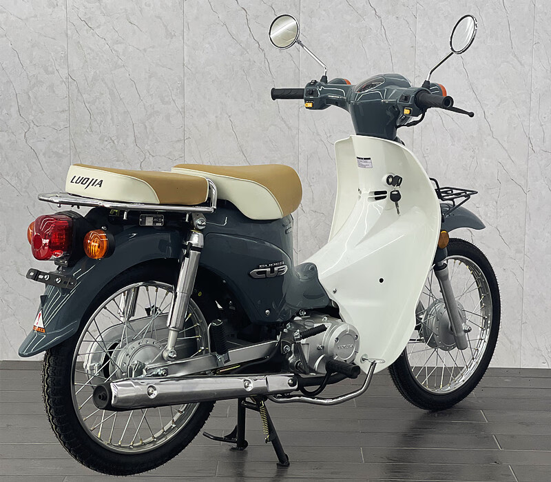 洛嘉后浪弯梁复古摩托车110两轮国四电喷嘉陵coco幼兽全国可蓝牌 天池