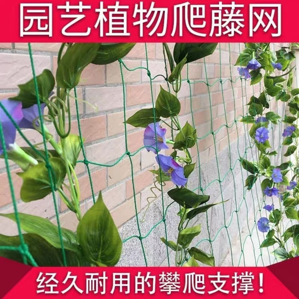 爬藤网加粗瓜果蔬菜种植爬藤网花卉藤蔓攀援网园艺农用网百香果用