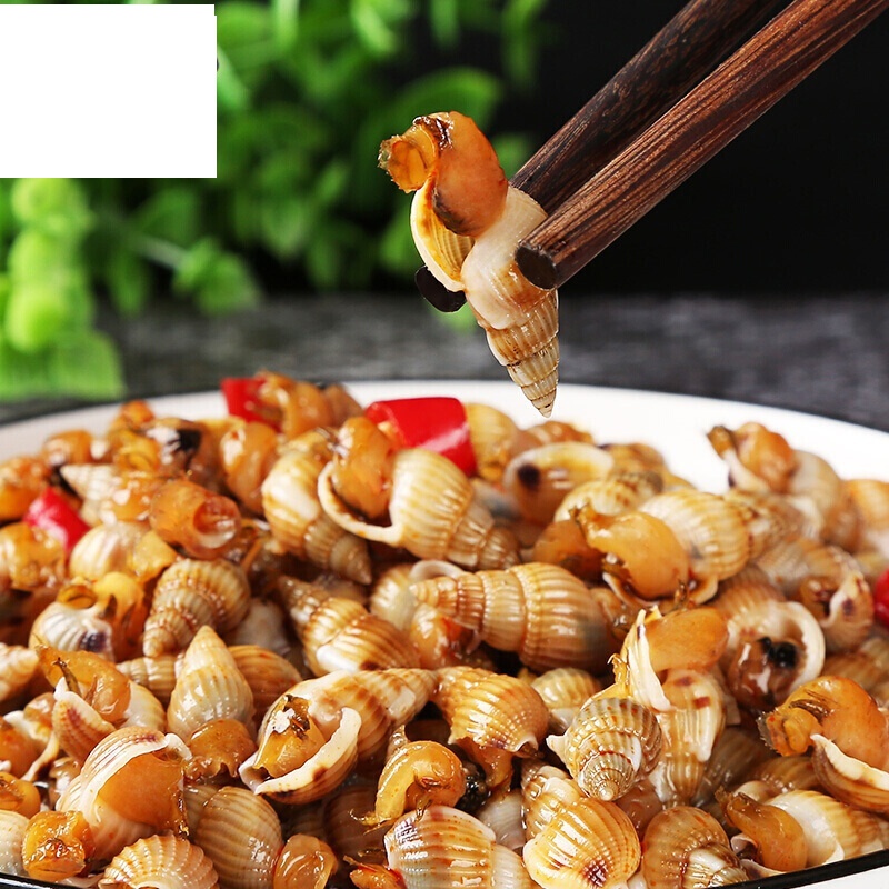 麻辣海瓜子香辣水产海鲜即食小海螺丝海锥280g罐装