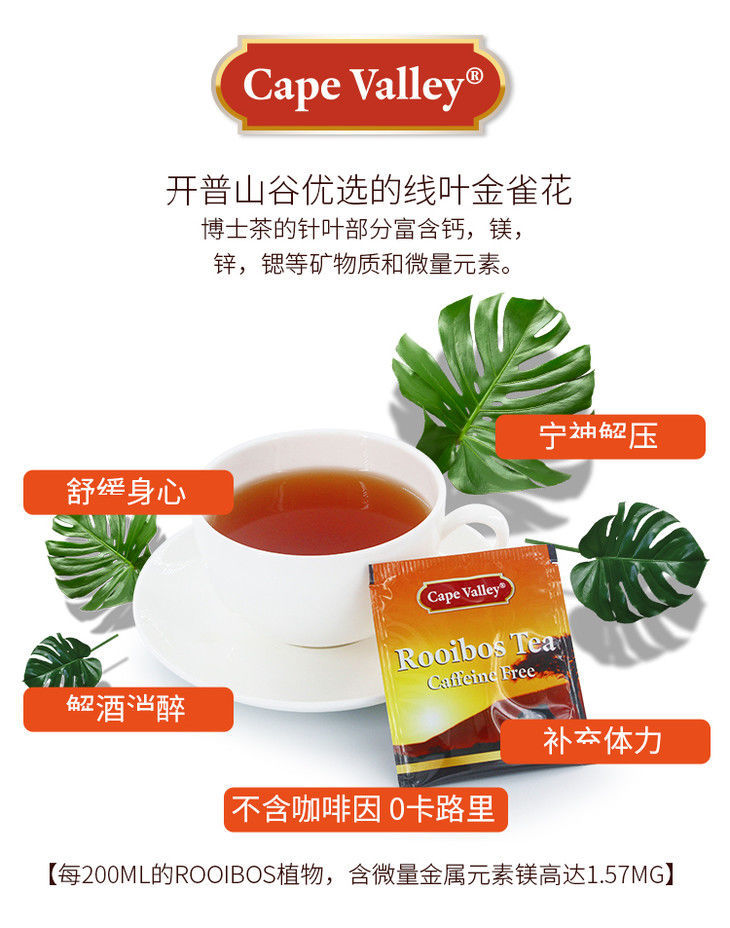 开普山谷南非博士茶rooibos路易波士红茶线叶金雀花养生茶100袋一盒装