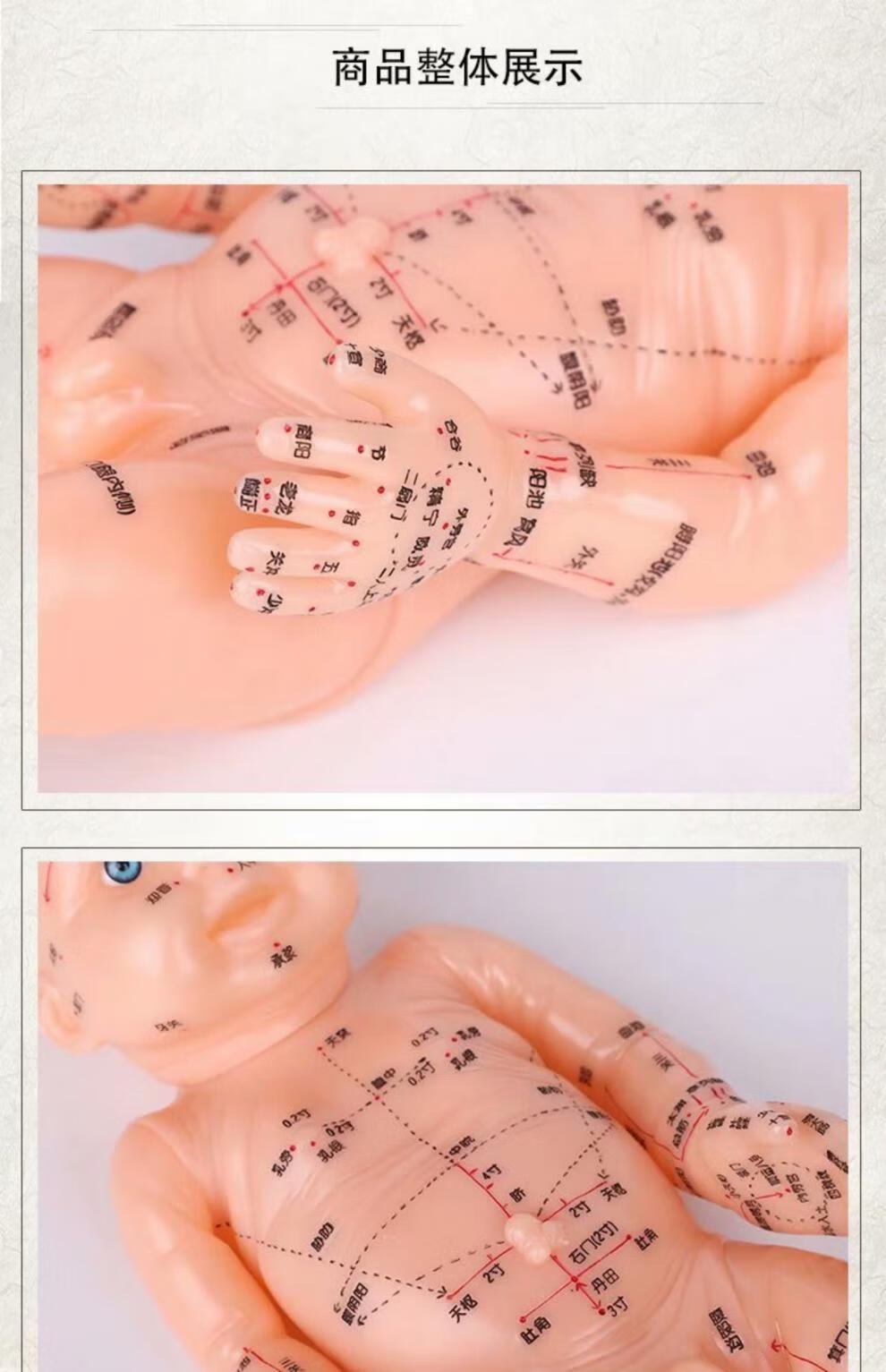 伊冉香约小儿推拿穴位反射区模型按摩月嫂培训医学教学儿童通经络针灸