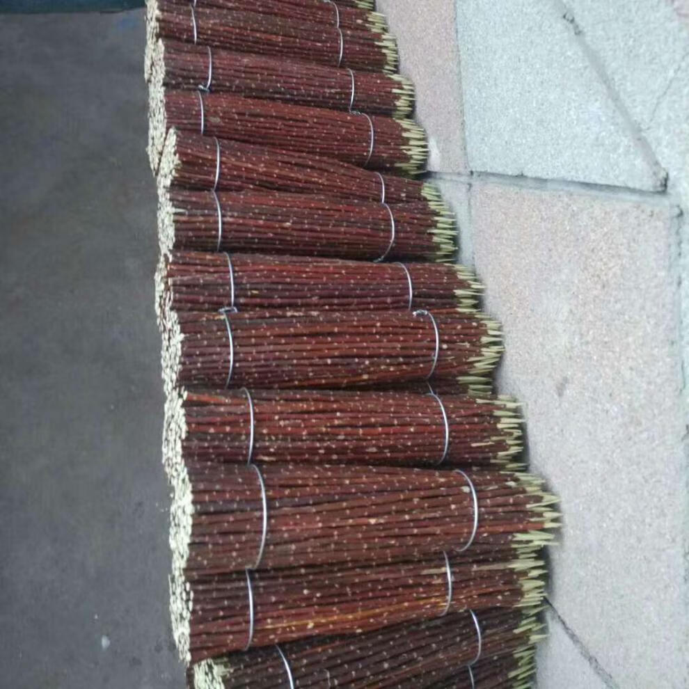 红柳签烧烤签子羊肉串签子正宗新疆烧烤签红柳木红柳枝签子40厘米长