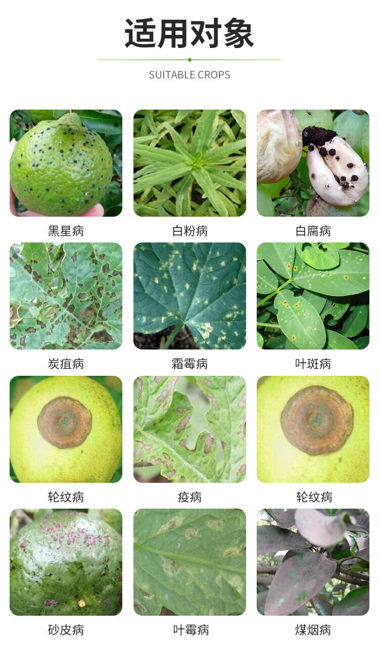 40百菌清柑橘果树炭疽病早疫病叶斑病霜霉病蔓枯杀菌剂500g