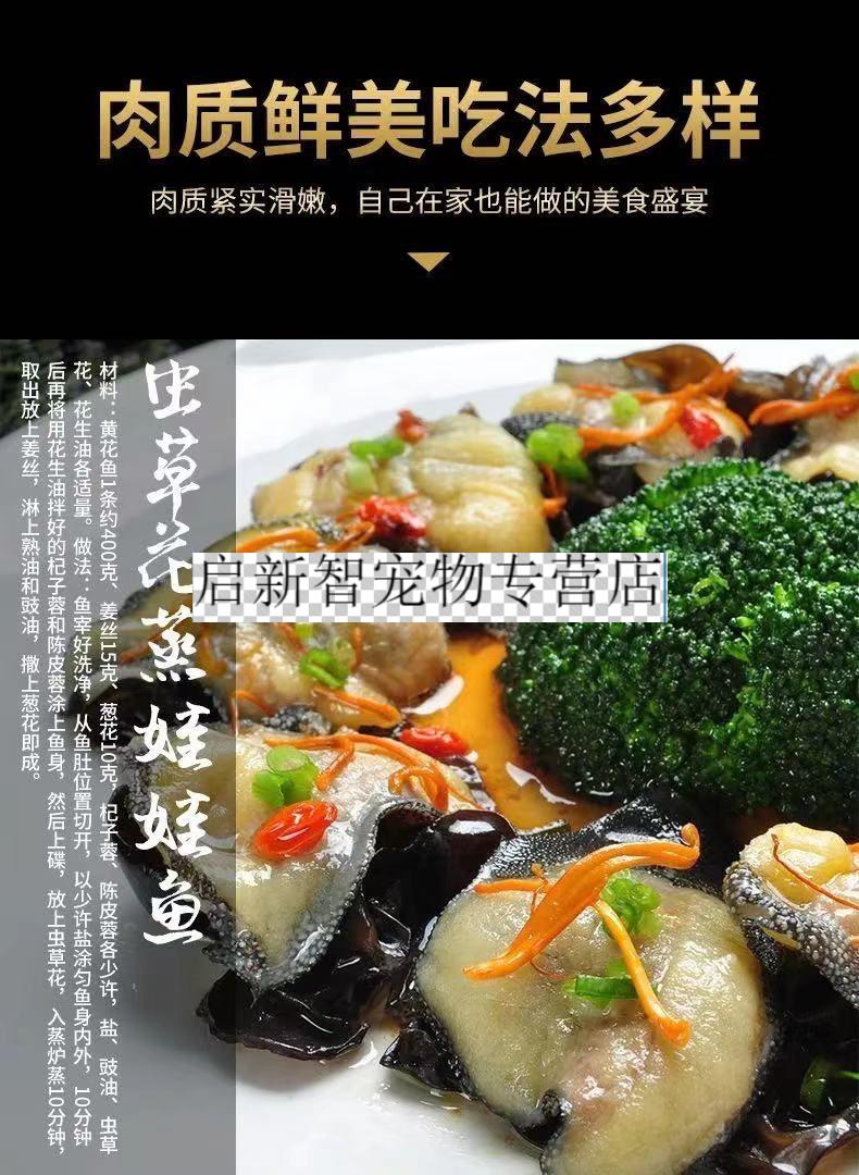 养殖厂直供娃娃鱼鲜活鱼食用活鱼海鱼宠物苗水产淡水鱼9斤一条送菜谱