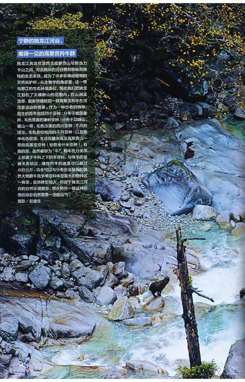 大横断山脉专辑 中国国家地理杂志 2018年10月特刊 总第696期 自然