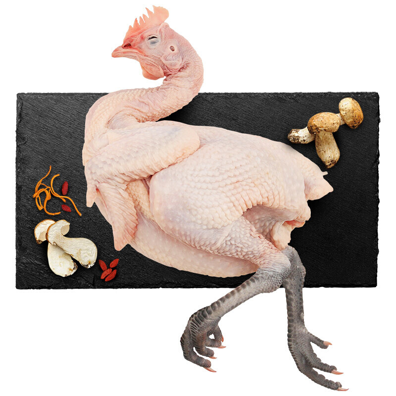 散养飞鸡土特产高山青脚瑶鸡1300g 整只林下散养新鲜现杀草鸡