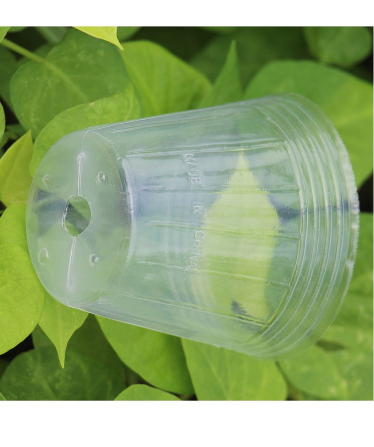 35寸25寸蝴蝶兰花种植专用塑料杯栽种植石斛育苗袋营养钵透明盆50个35