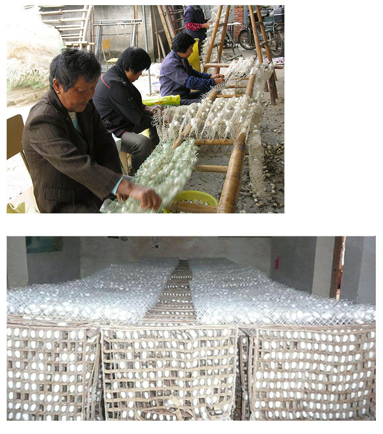 结茧网养蚕结茧网塑料网簇方格簇条蚕结茧蚕宝宝养殖中号结茧网1片