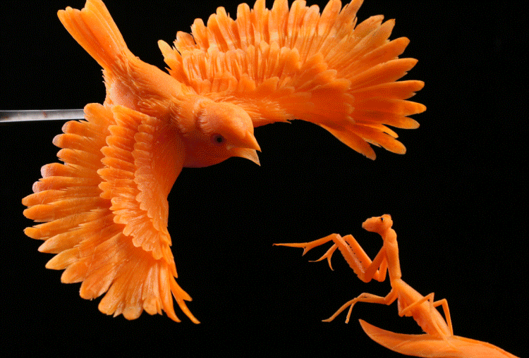 雕刻铺子雕刻刀套装厨房雕花水果厨师雕刻工具全套 全面套装主刀绿色