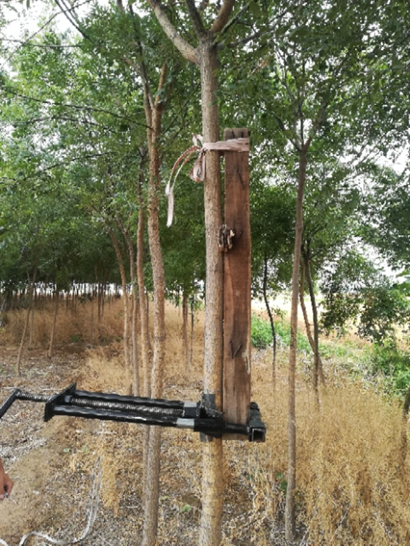 树木直弯器各种弯树器双管平衡易操作多型号园林工具结实耐用经典黑大