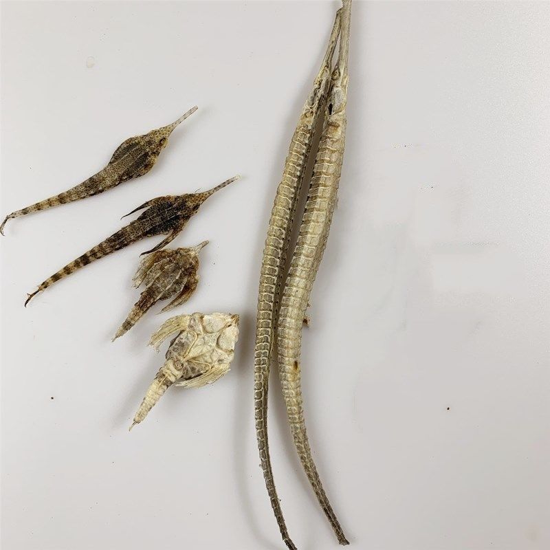 海麻雀 海燕海龙组合泡酒料干货海燕子传统滋补六角大海龙中药材 海燕