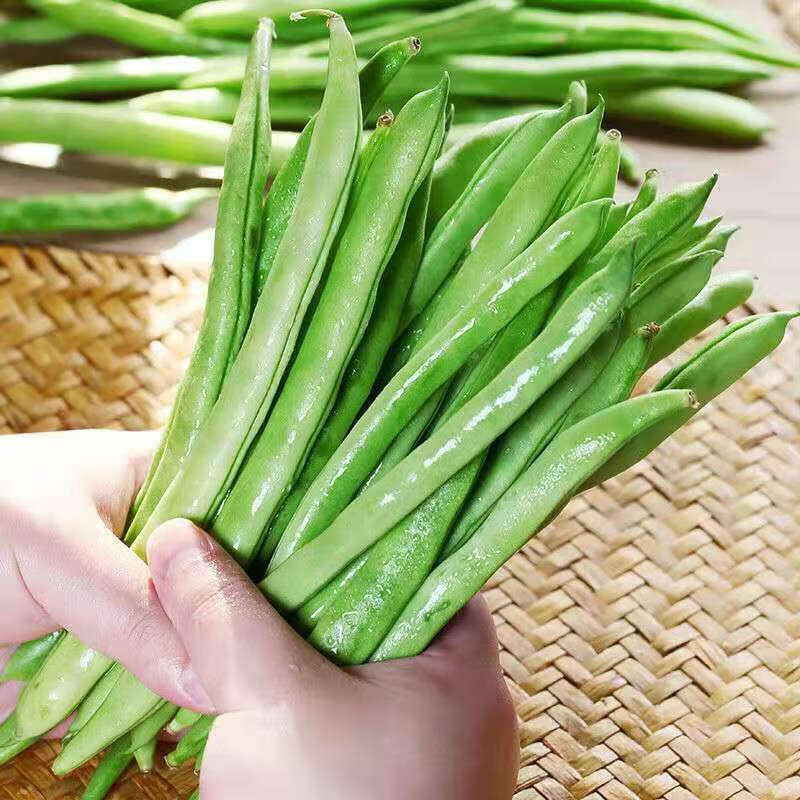 云南新鲜无筋豆四季豆整箱无丝豆角新鲜蔬菜 普通装(泡沫箱) 2斤