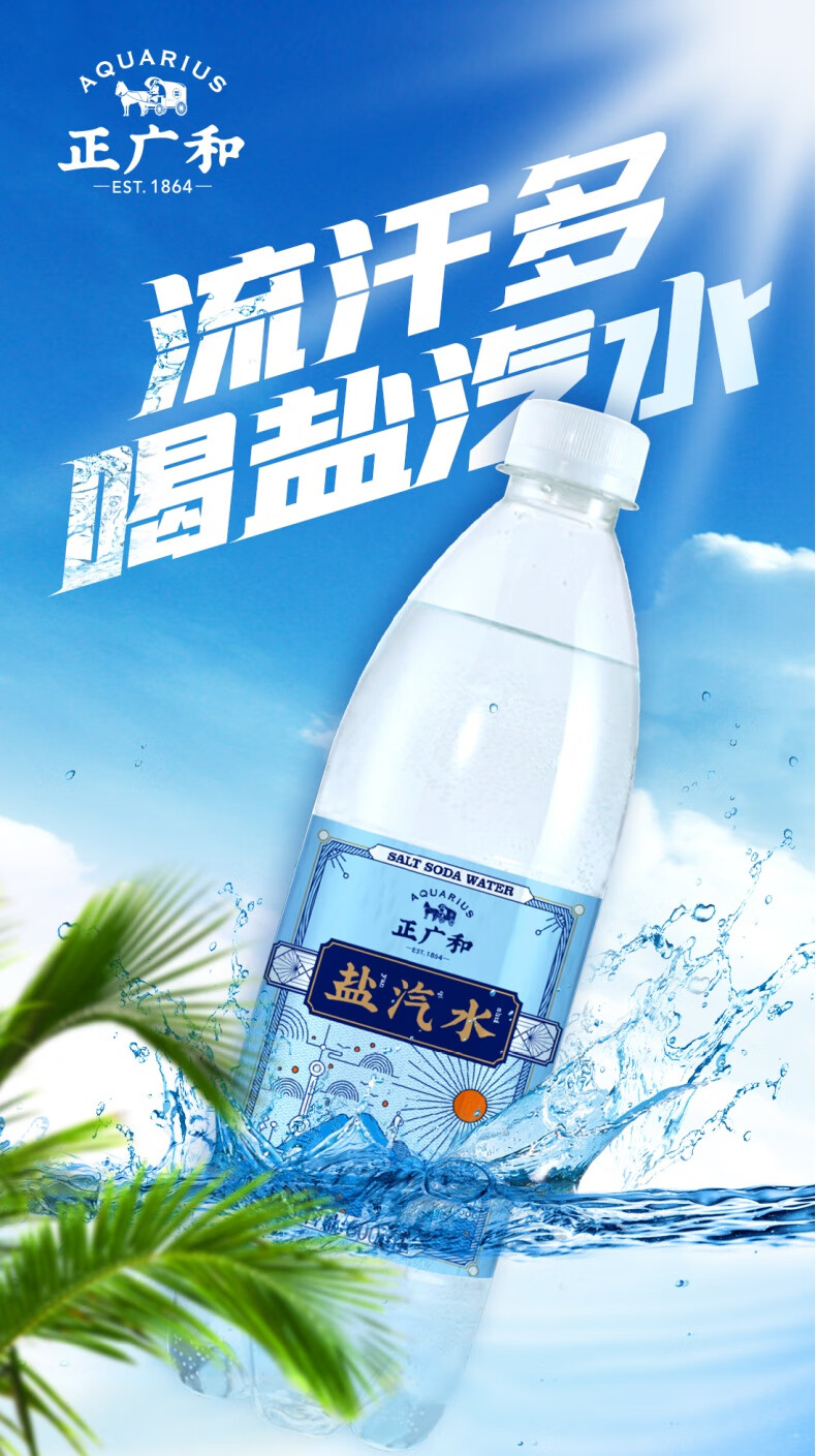 今年新货上海正广和盐汽水600ml*20瓶整箱碳酸汽水 江浙沪晥 江浙沪皖