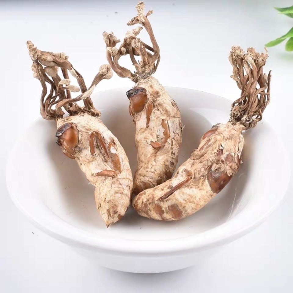 金蝉花2020年金蝉花大别山蝉花50克知了花金蝉花中药材精品金蝉花50克