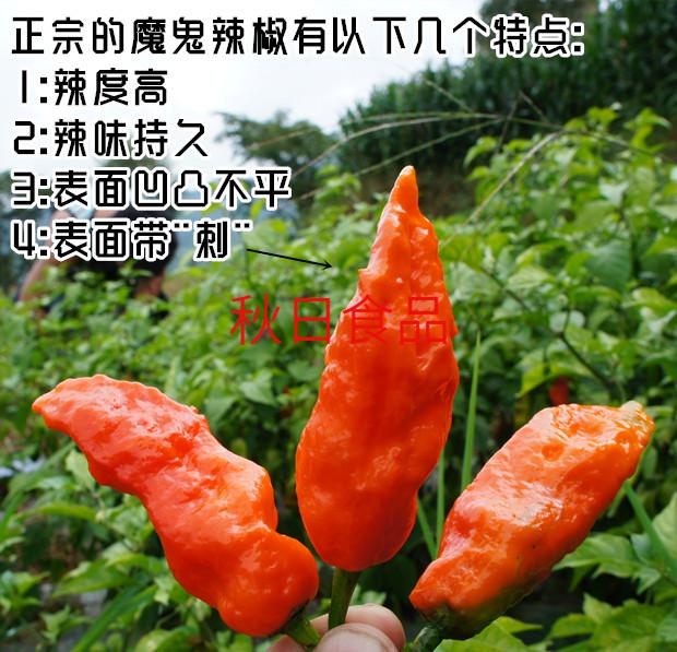 魔鬼象鼻辣剁椒餐饮商用/替代辣椒精/涮涮辣巨辣特辣超辣变态辣酱 纯